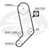 Jogo de correias dentadas PowerGrip®