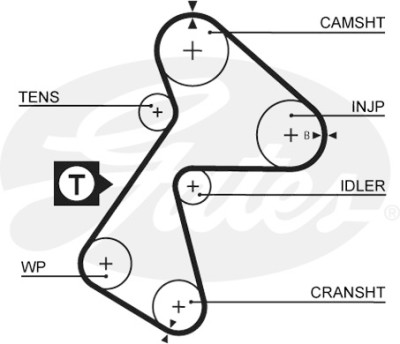 Jogo de correias dentadas PowerGrip®