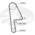 Jogo de correias dentadas PowerGrip®