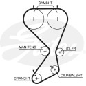 Jogo de correias dentadas PowerGrip®
