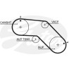 Jogo de correias dentadas PowerGrip®