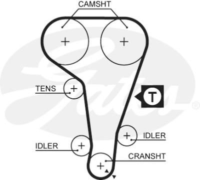 Jogo de correias dentadas PowerGrip®