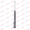 Amortecedor Excel-G