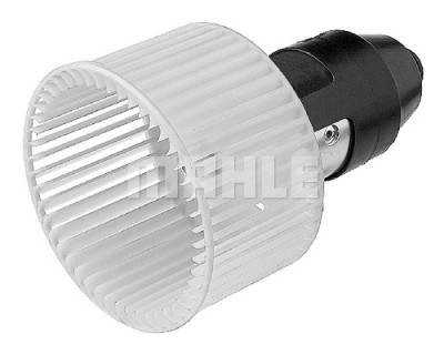 Ventilador do habitáculo