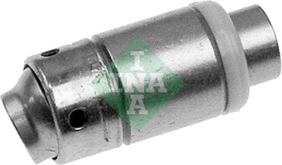 Came de válvula