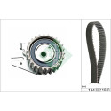 Conjunto de correia dentada INA 530 0221 10