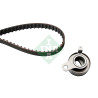 Conjunto de correia dentada INA 530 0266 10