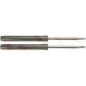 Conjunto de amortecedores TRW JGC142T