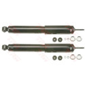 Conjunto de amortecedores TRW JGE280T