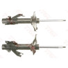 Conjunto de amortecedores TRW JGM1005T