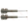 Conjunto de amortecedores TRW JGM1006T