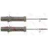 Conjunto de amortecedores TRW JGM1078T