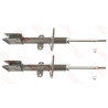 Conjunto de amortecedores TRW JGM1110T