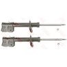 Conjunto de amortecedores TRW JGM1251T