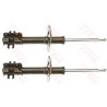 Conjunto de amortecedores TRW JGM271T