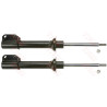 Conjunto de amortecedores TRW JGM308T