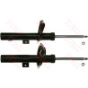 Conjunto de amortecedores TRW JGM3254T