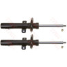 Conjunto de amortecedores TRW JGM341T