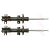 Conjunto de amortecedores TRW JGM360T