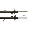 Conjunto de amortecedores TRW JGM5801T