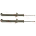 Conjunto de amortecedores TRW JGM871T