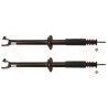 Conjunto de amortecedores TRW JGS129T