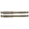 Conjunto de amortecedores TRW JGT1004T