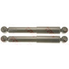 Conjunto de amortecedores TRW JGT1038T
