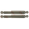 Conjunto de amortecedores TRW JGT1056T