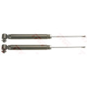 Conjunto de (2) amortecedores TRW JGT1058T