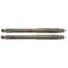 Conjunto de amortecedores TRW JGT1062T