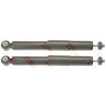 Conjunto de amortecedores TRW JGT1074T