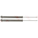 Conjunto de (2) amortecedores TRW JGT1080T