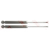 Conjunto de amortecedores TRW JGT1126T