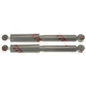 Conjunto de amortecedores TRW JGT1136T