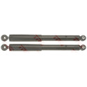 Conjunto de amortecedores TRW JGT1138T