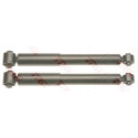 Conjunto de (2) amortecedores TRW JGT1166T