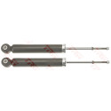 Conjunto de amortecedores TRW JGT1190T