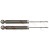 Conjunto de amortecedores TRW JGT1190T