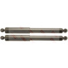 Conjunto de amortecedores TRW JGT1332T