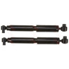 Conjunto de amortecedores TRW JGT216T