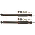 Conjunto de amortecedores TRW JGT232T