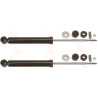 Conjunto de amortecedores TRW JGT268T