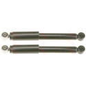 Conjunto de amortecedores TRW JGT270T