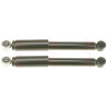 Conjunto de amortecedores TRW JGT270T