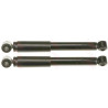 Conjunto de amortecedores TRW JGT280T