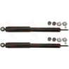 Conjunto de amortecedores TRW JGT302T