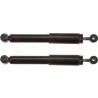 Conjunto de amortecedores TRW JGT356T
