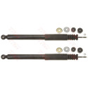 Conjunto de amortecedores TRW JGT376T