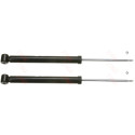 Conjunto de amortecedores TRW JGT408T